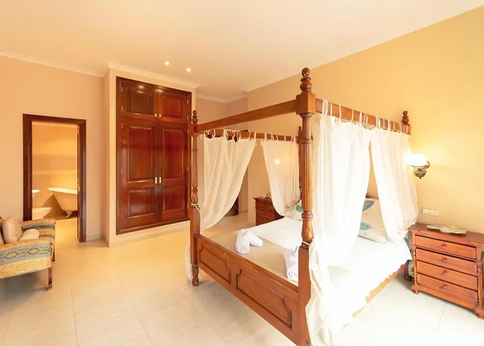 Oliveres By Vintage Travel *