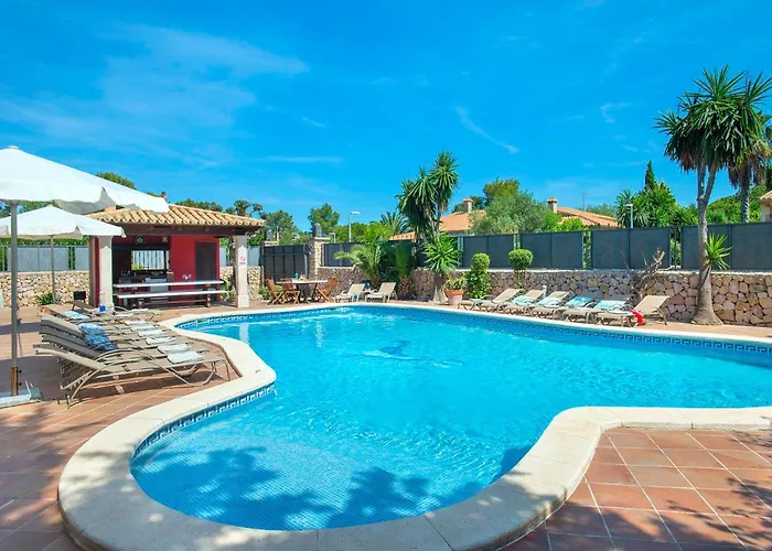 Oliveres By Vintage Travel